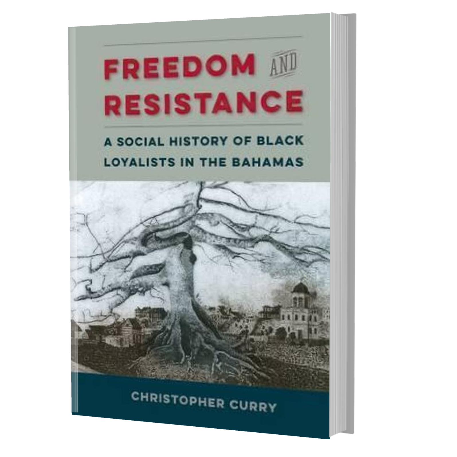 Freedom and Resistance