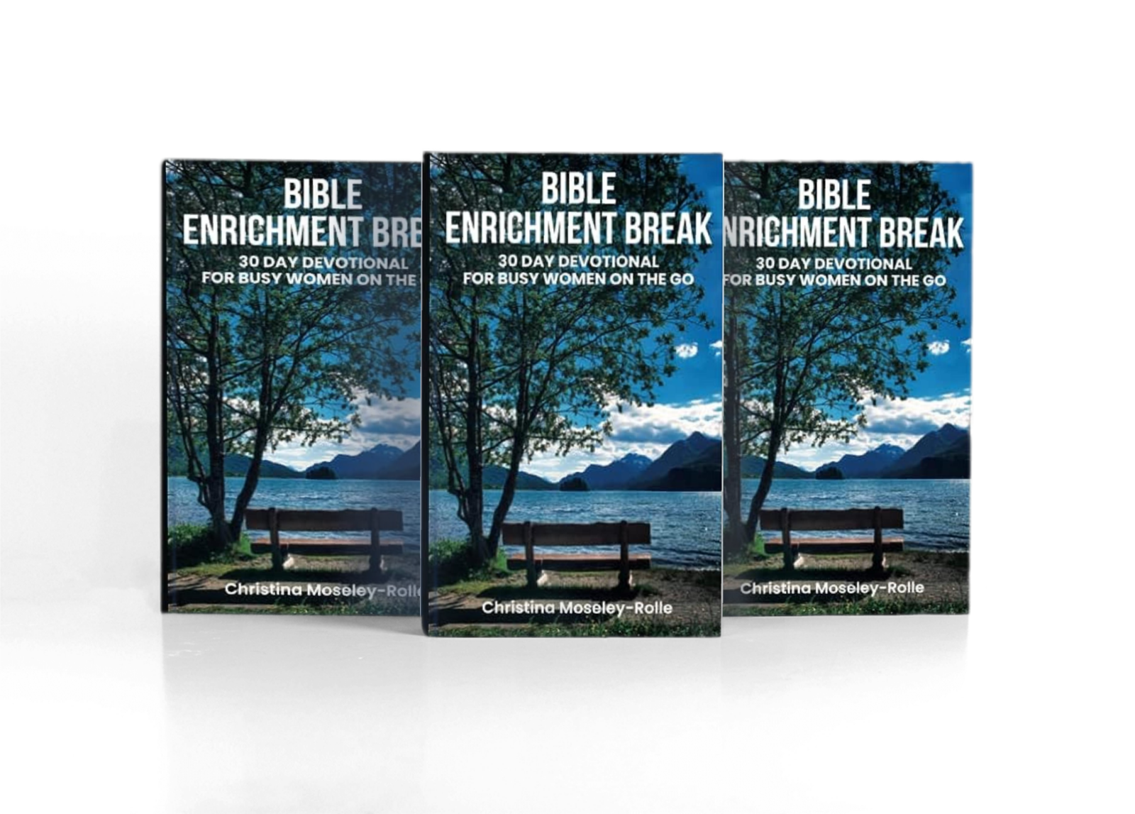 Bible Enrichment Break Book