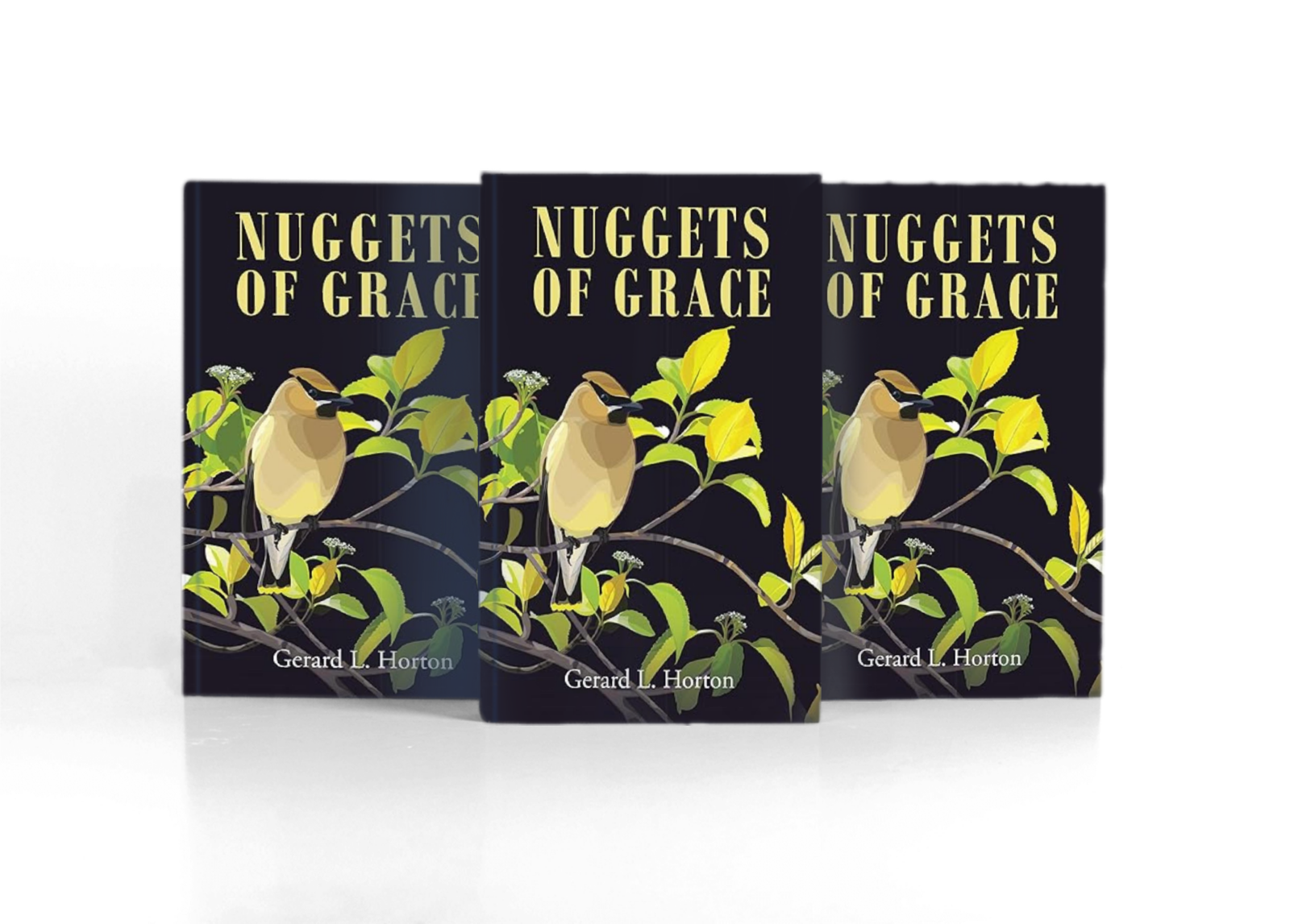 Nuggets of Grace, Gerard L. Horton